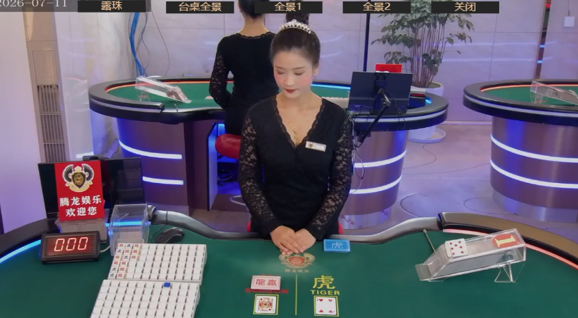 腾龙游戏社区 电竞横幅